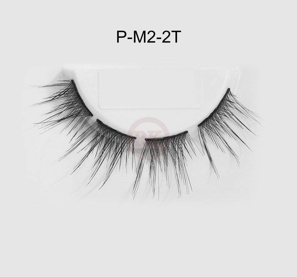 P-M2-2T