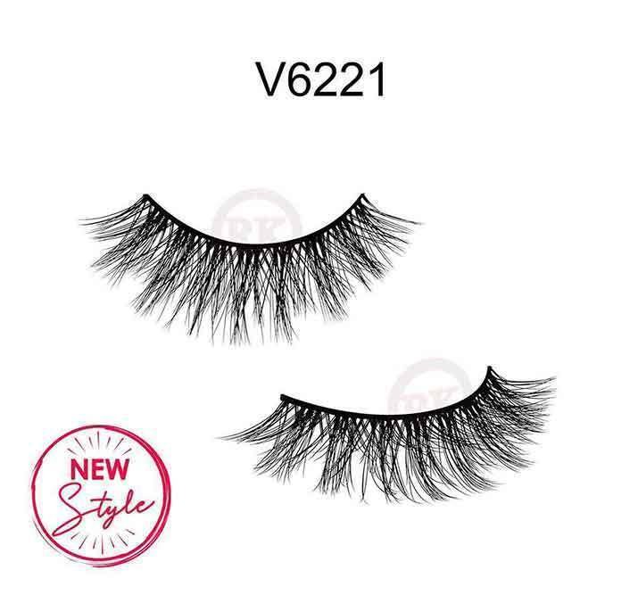 V6221