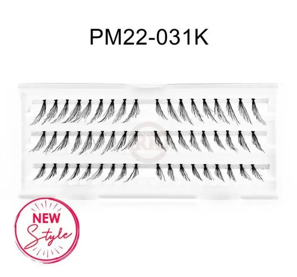 PM22-031K