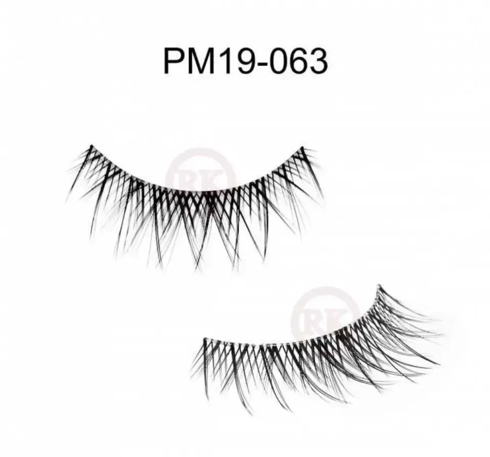 PM19-063